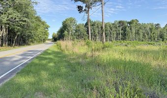 McCall's Millpond Rd, Bennettsville, SC 29512