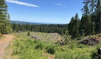 Tunnel Tract Parcel2, Banks, OR 97106