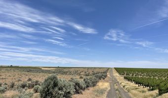 38 VINEYARD VIEW Dr, Bickleton, WA 99322