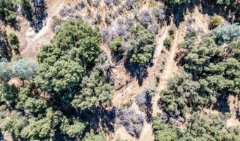 41902 Woodward Way, Ahwahnee, CA 93601
