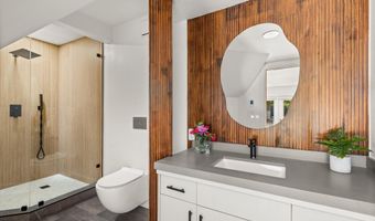 75 Bennett Ct, Aspen, CO 81611