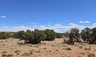 27 N 9183, Concho, AZ 85924