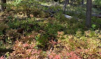 76 Sawtooth Loop Lot 33, Cascade, ID 83611