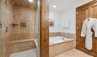 415 E Dean St Unit 38 Week 33, Aspen, CO 81611