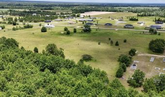Tbd NE CR 69A Parcel 2, Altha, FL 32421