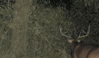 22 Hwy, Adamsville, TN 38310