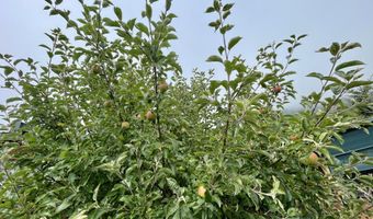 16391 HIGHWAY 101 48, Brookings, OR 97415