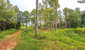 Tract 1 Highway 99, Anderson, AL 35610