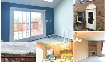 4911 7TH Rd S 4911, Arlington, VA 22204