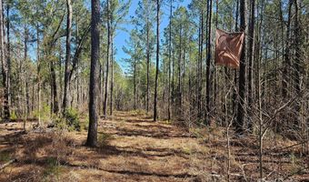 8988 Hwy 215 Hwy, Blair, SC 29015