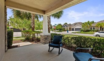 7502 SEA LILLY Ct, Apollo Beach, FL 33572