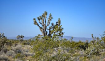 2641 S Javalina Rd, Yucca, AZ 86438