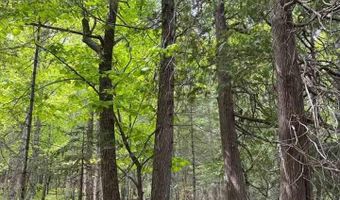 TBD W Shipley Rd, Alborn, MN 55702