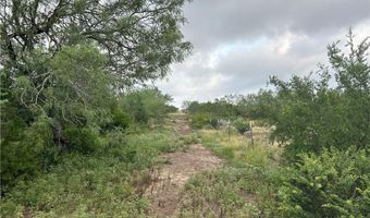 0000 County Road 173, San Diego, TX 78332
