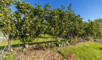 67-1266 PUAENA St, Kamuela, HI 96743