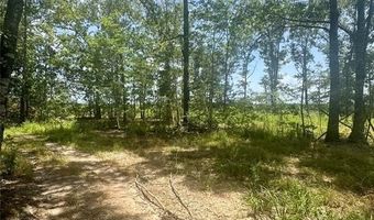 0000 County Road 4307, De Kalb, TX 75559