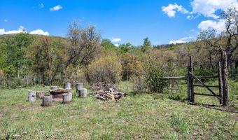 3714 Bear Ridge Rd, Basalt, CO 81621