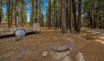 Tbd CR2325, Alpine, AZ 85920