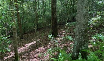 Tdb Cove Creek Rd, Bastian, VA 24314
