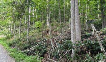 Tbd Boulder Gardens Road, Banner Elk, NC 28604