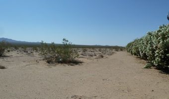 9860 S US HWY 95, Cal Nev Ari, NV 89039