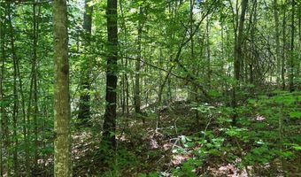 Fortner Road, Ball Ground, GA 30107