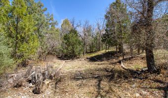 10 18 Acre South Fork North Creek Rd, Beaver, UT 84713