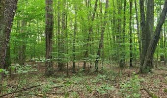 65 Acres 107th Ave, Allegan, MI 49010