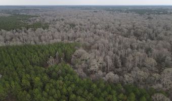 U.S. Highway 51, Bogue Chitto, MS 39629