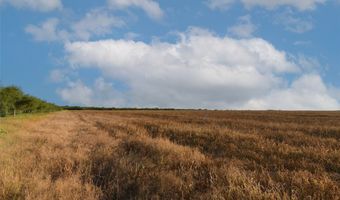 CR 331, Alice, TX 78332