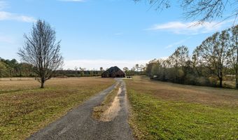 641 Chicora River Rd, Buckatunna, MS 39322
