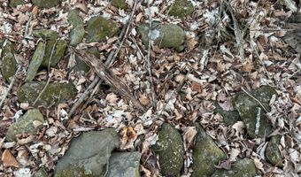 Lot 4 Mud Run Rd, Addison, NY 14801