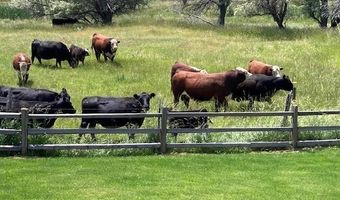 313 Rendezvous St, Buffalo, WY 82834