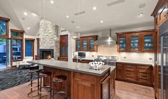719 E Hopkins Ave 202, Aspen, CO 81611