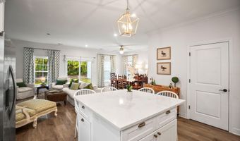 13 Bittie Cir, Beaufort, SC 29906