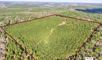 Jones Lane, Bay Minette, AL 36507