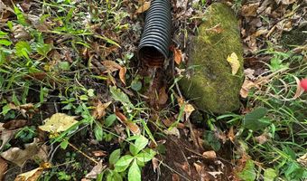 Pumpkin Patch Road, Bakersville, NC 28705