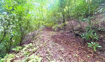 520 Calvin Cove Rd, Almond, NC 28702