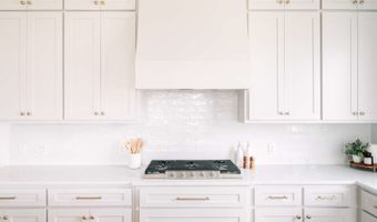 420 Wingtail Dr, Aledo, TX 76008