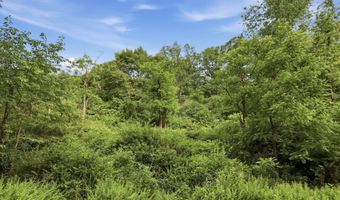 11 95AC LUXEMBURG Rd, Baker, WV 26801