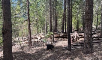 37 Iroquois Dr, Camp Connell, CA 95223