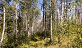 1025 Forest Trl, Edwards, CO 81632