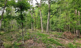 00 Monroe Rd, Bath, NH 03740