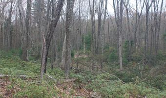 Nepaug Road, Burlington, CT 06013