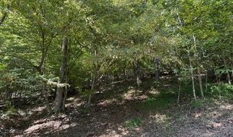 20181 N Fork River Road Lot 6 7 8, Abingdon, VA 24210