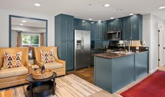 326 Midland Ave 302, Aspen, CO 81611