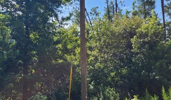 Grand Quiviera Circle lot 11, Alford, FL 32420