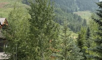 87 Thunderbowl Ln, Aspen, CO 81611