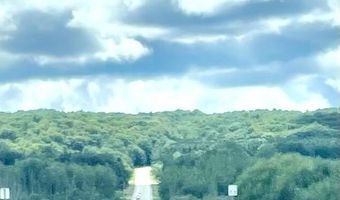 M22 Northwood Hwy, Arcadia, MI 49613
