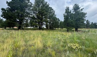 Whymans Black Lake Estates lot 39, Angel Fire, NM 87710